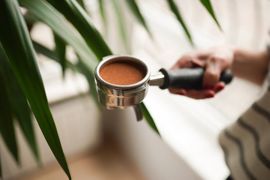 Indulge Your Senses with Arkadia Irish Cream Syrup: Elevate Your Coffee Game - Baristas Tools