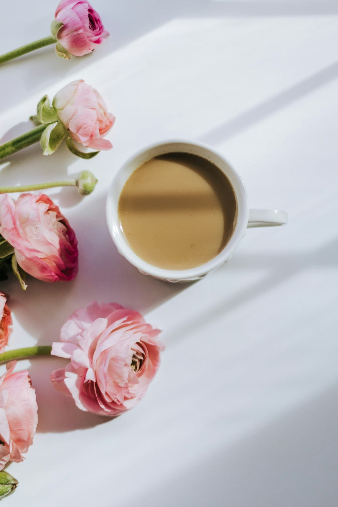 Discover Unique Arkadia Chai Blends for Every Season - Baristas Tools