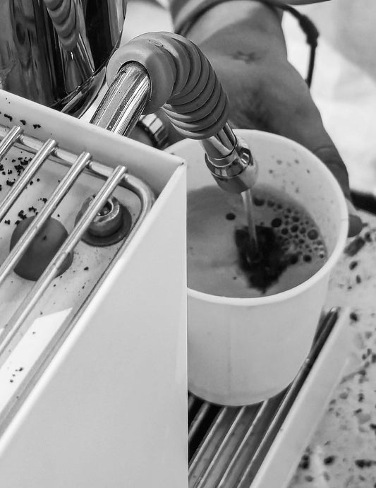 How to Master French Press Coffee with the Bialetti Smart French Press - Baristas Tools