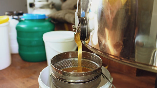 The Essential Guide to Using a Portafilter Cleaning Brush for Cleaner Tasting Espresso - Baristas Tools