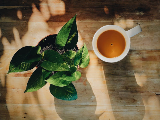 The Top Challenges in Creating Latte Art and How to Overcome Them - Baristas Tools